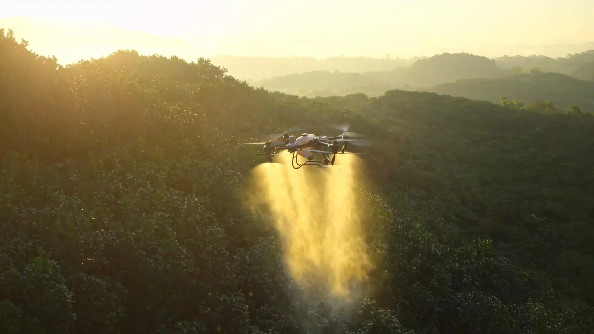 DJI Agras T50 tijekom prskanja nasada