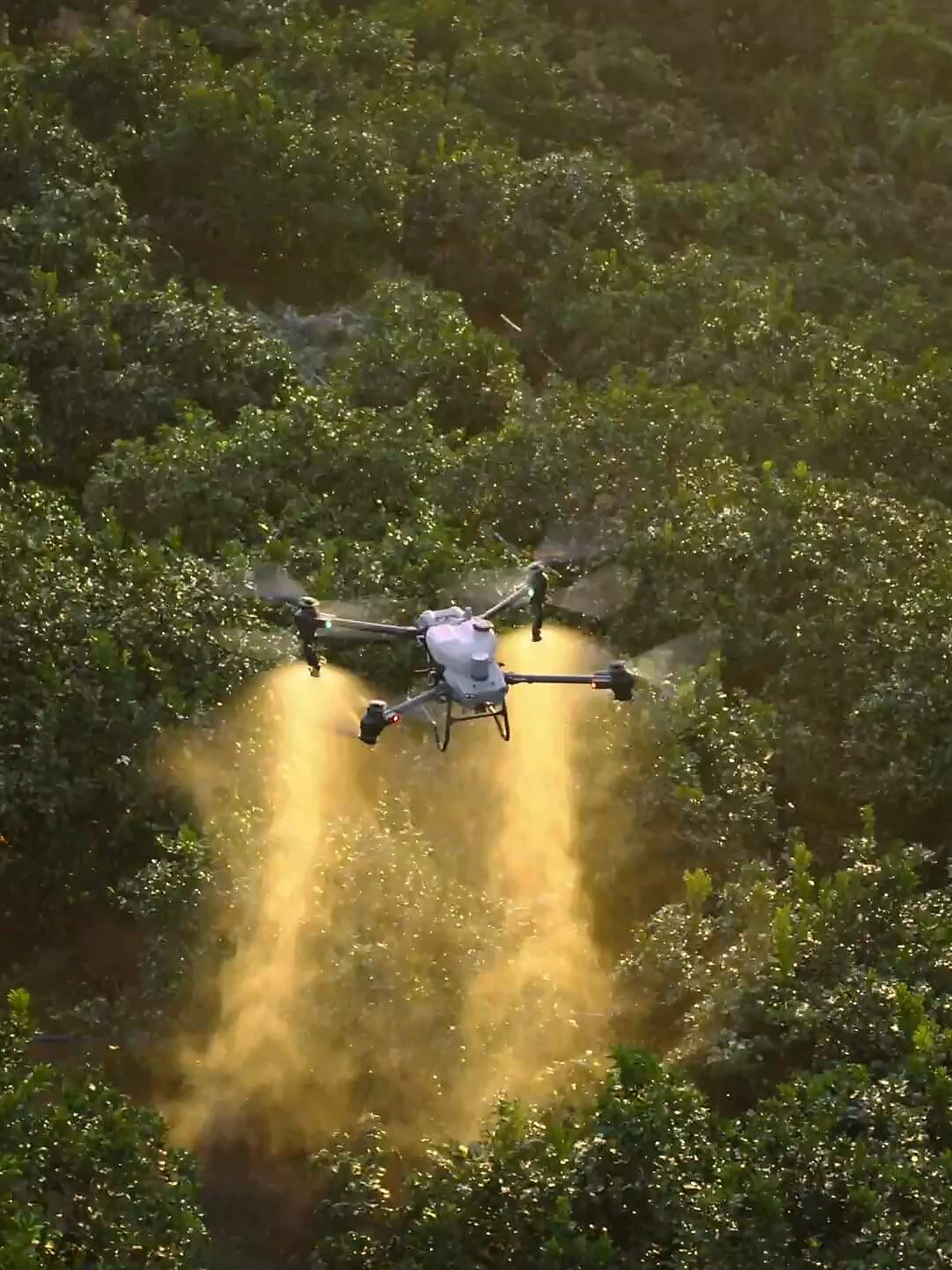 Stvarna poljoprivredna dron platforma u radu iznad nasada kao kontekst dokumentiranja parcele