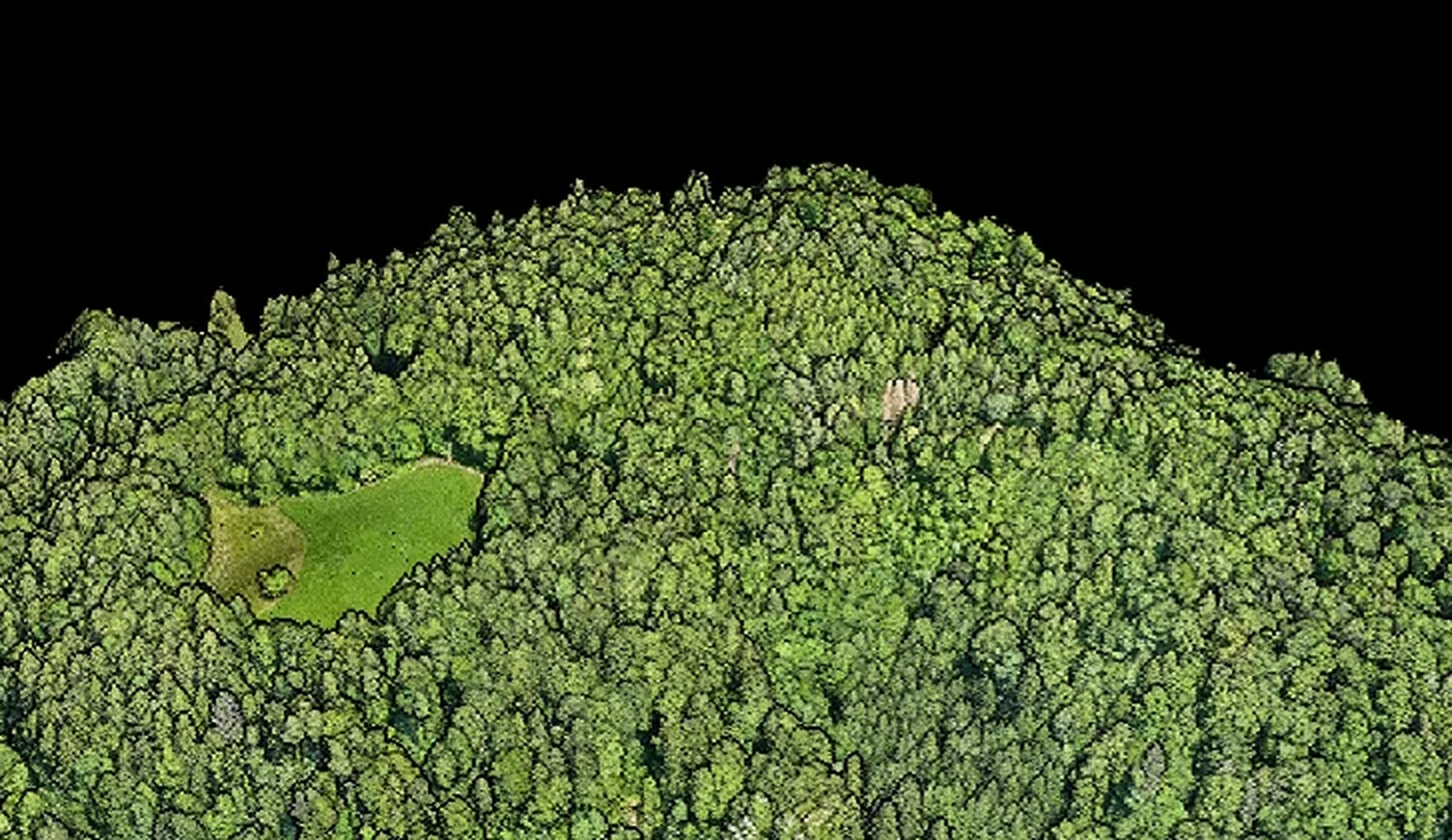 Stvarni fotogrametrijski 3D model šumskog terena