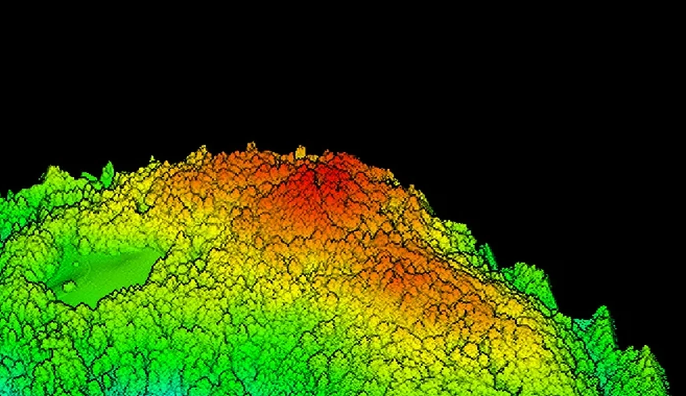 Stvarni LiDAR oblak točaka šumskog terena obojen prema elevaciji
